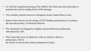 Process of translation in eukaryotic cells | PPTX