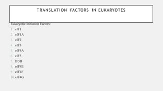 Process of translation in eukaryotic cells | PPTX
