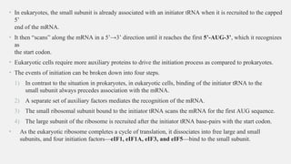 Process of translation in eukaryotic cells | PPTX