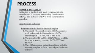 translation in eukaryotes[1].pptx deatiled explaination | PPTX