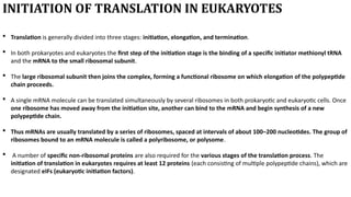 Comprehensive Overview of Translation in Eukaryotic Cells: Mechanisms ...