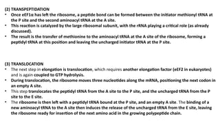 Comprehensive Overview of Translation in Eukaryotic Cells: Mechanisms ...