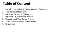 Comprehensive Overview of Translation in Eukaryotic Cells: Mechanisms ...