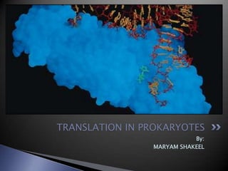 TRANSLATION IN PROKARYOTES
By:
MARYAM SHAKEEL

 