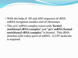  With the help of SD and ASD sequence of rRNA
mRNA recognises smaller unit of ribosomes
 This 30’s’ mRNA complex reacts with ‘formyl
methionyl tRNA complex’ and “30’s’ mRNA fromyl
metthionyl tRNA complex” is fromed . This tRNA
attaches with codon parrt of mRNA . A GTP molecule
is required.
 