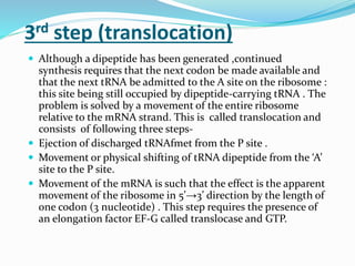 3rd step (translocation)
 Although a dipeptide has been generated ,continued
synthesis requires that the next codon be made available and
that the next tRNA be admitted to the A site on the ribosome :
this site being still occupied by dipeptide-carrying tRNA . The
problem is solved by a movement of the entire ribosome
relative to the mRNA strand. This is called translocation and
consists of following three steps-
 Ejection of discharged tRNAfmet from the P site .
 Movement or physical shifting of tRNA dipeptide from the ‘A’
site to the P site.
 Movement of the mRNA is such that the effect is the apparent
movement of the ribosome in 5’→3’ direction by the length of
one codon (3 nucleotide) . This step requires the presence of
an elongation factor EF-G called translocase and GTP.
 