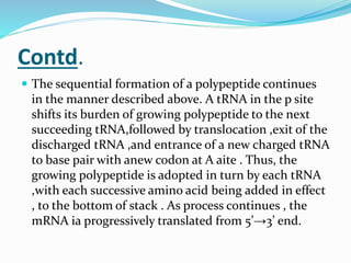 Contd.
 The sequential formation of a polypeptide continues
in the manner described above. A tRNA in the p site
shifts its burden of growing polypeptide to the next
succeeding tRNA,followed by translocation ,exit of the
discharged tRNA ,and entrance of a new charged tRNA
to base pair with anew codon at A aite . Thus, the
growing polypeptide is adopted in turn by each tRNA
,with each successive amino acid being added in effect
, to the bottom of stack . As process continues , the
mRNA ia progressively translated from 5’→3’ end.
 