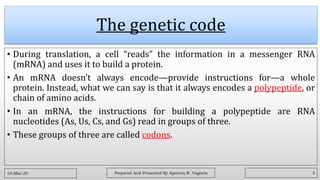 Translation in prokaryotes | PDF