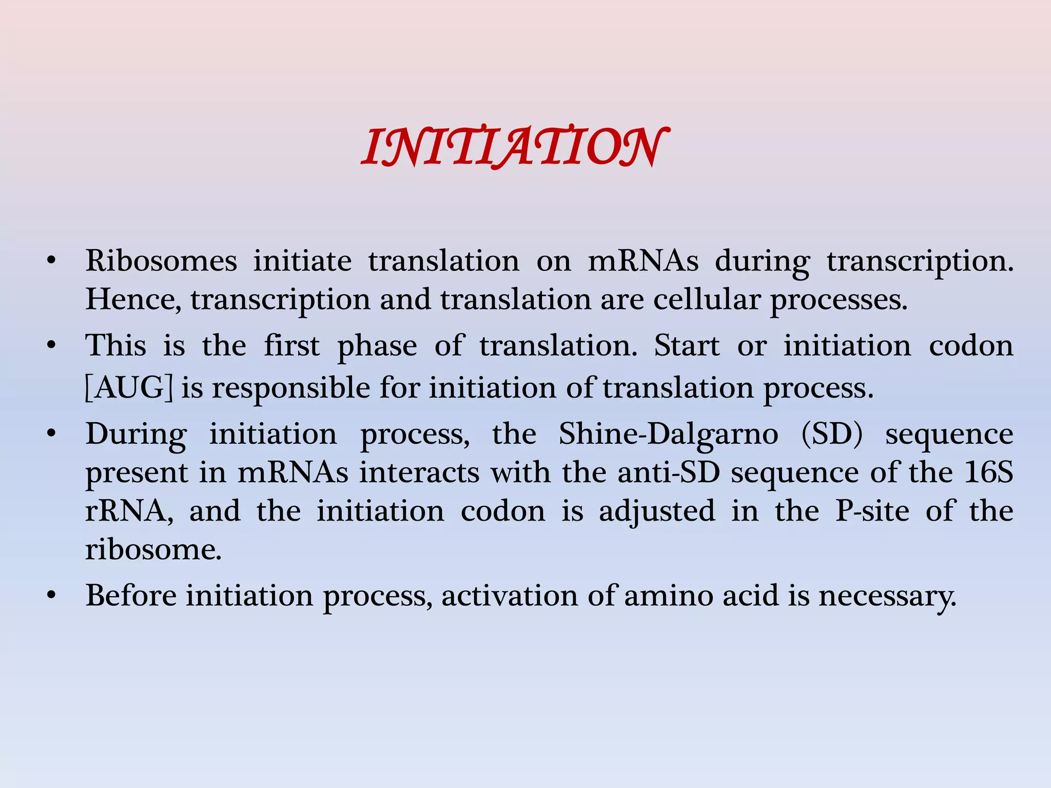 Translation in prokaryotes | PPTX