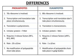 Translation in prokaryotes and eukaryotes | PPTX