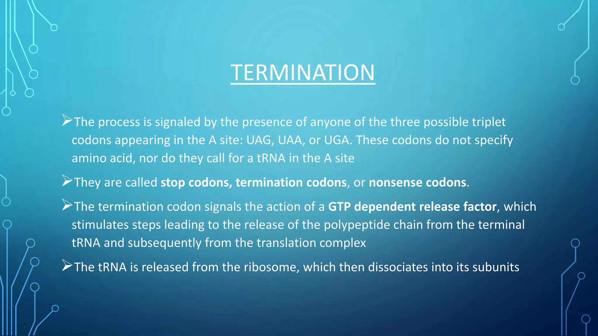 Translation in prokaryotes and eukaryotes | PPTX
