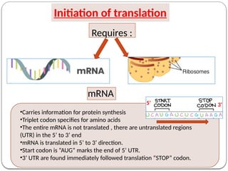 TRANSLATION IN PROKARYOTES AND EUKARYOTES AND POST TRANSLATIONAL ...