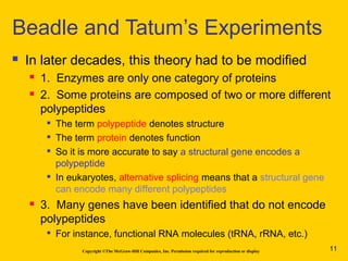 Copyright ©The McGraw-Hill Companies, Inc. Permission required for reproduction or display
 In later decades, this theory had to be modified
 1. Enzymes are only one category of proteins
 2. Some proteins are composed of two or more different
polypeptides

The term polypeptide denotes structure

The term protein denotes function

So it is more accurate to say a structural gene encodes a
polypeptide

In eukaryotes, alternative splicing means that a structural gene
can encode many different polypeptides
 3. Many genes have been identified that do not encode
polypeptides

For instance, functional RNA molecules (tRNA, rRNA, etc.)
Beadle and Tatum’s Experiments
11
 