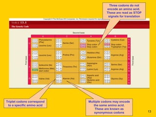 Triplet codons correspond
to a specific amino acid
Multiple codons may encode
the same amino acid.
These are known as
synonymous codons
Three codons do not
encode an amino acid.
These are read as STOP
signals for translation
13
 