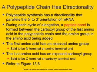 Copyright ©The McGraw-Hill Companies, Inc. Permission required for reproduction or display
 Polypeptide synthesis has a directionality that
parallels the 5’ to 3’ orientation of mRNA
 During each cycle of elongation, a peptide bond is
formed between the carboxyl group of the last amino
acid in the polypeptide chain and the amino group in
the amino acid being added
 The first amino acid has an exposed amino group
 Said to be N-terminal or amino terminal end
 The last amino acid has an exposed carboxyl group
 Said to be C-terminal or carboxy terminal end
 Refer to Figure 13.6
A Polypeptide Chain Has Directionality
16
 