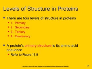 Copyright ©The McGraw-Hill Companies, Inc. Permission required for reproduction or display
 There are four levels of structure in proteins
 1. Primary
 2. Secondary
 3. Tertiary
 4. Quaternary
 A protein’s primary structure is its amino acid
sequence
 Refer to Figure 13.8
Levels of Structure in Proteins
20
 