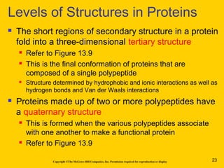 Copyright ©The McGraw-Hill Companies, Inc. Permission required for reproduction or display
 The short regions of secondary structure in a protein
fold into a three-dimensional tertiary structure
 Refer to Figure 13.9
 This is the final conformation of proteins that are
composed of a single polypeptide
 Structure determined by hydrophobic and ionic interactions as well as
hydrogen bonds and Van der Waals interactions
 Proteins made up of two or more polypeptides have
a quaternary structure
 This is formed when the various polypeptides associate
with one another to make a functional protein
 Refer to Figure 13.9
Levels of Structures in Proteins
23
 