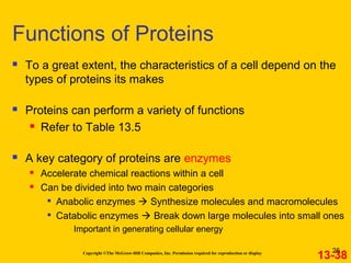 Copyright ©The McGraw-Hill Companies, Inc. Permission required for reproduction or display
 To a great extent, the characteristics of a cell depend on the
types of proteins its makes
 Proteins can perform a variety of functions
 Refer to Table 13.5
 A key category of proteins are enzymes
 Accelerate chemical reactions within a cell
 Can be divided into two main categories

Anabolic enzymes  Synthesize molecules and macromolecules

Catabolic enzymes  Break down large molecules into small ones
 Important in generating cellular energy
Functions of Proteins
13-38
25
 