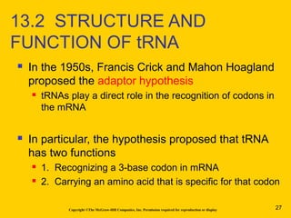  In the 1950s, Francis Crick and Mahon Hoagland
proposed the adaptor hypothesis
 tRNAs play a direct role in the recognition of codons in
the mRNA
 In particular, the hypothesis proposed that tRNA
has two functions
 1. Recognizing a 3-base codon in mRNA
 2. Carrying an amino acid that is specific for that codon
Copyright ©The McGraw-Hill Companies, Inc. Permission required for reproduction or display
13.2 STRUCTURE AND
FUNCTION OF tRNA
27
 