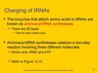 Copyright ©The McGraw-Hill Companies, Inc. Permission required for reproduction or display
 The enzymes that attach amino acids to tRNAs are
known as aminoacyl-tRNA synthetases
 There are 20 types

One for each amino acid
 Aminoacyl-tRNA synthetases catalyze a two-step
reaction involving three different molecules
 Amino acid, tRNA and ATP
 Refer to Figure 13.13
Charging of tRNAs
31
 