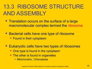  Translation occurs on the surface of a large
macromolecular complex termed the ribosome
 Bacterial cells have one type of ribosome
 Found in their cytoplasm
 Eukaryotic cells have two types of ribosomes
 One type is found in the cytoplasm
 The other is found in organelles

Mitochondria ; Chloroplasts
Copyright ©The McGraw-Hill Companies, Inc. Permission required for reproduction or display
13.3 RIBOSOME STRUCTURE
AND ASSEMBLY
36
 