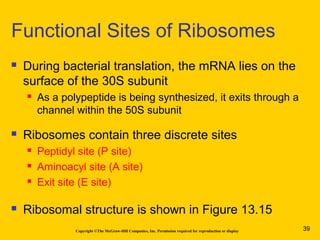 Copyright ©The McGraw-Hill Companies, Inc. Permission required for reproduction or display
 During bacterial translation, the mRNA lies on the
surface of the 30S subunit
 As a polypeptide is being synthesized, it exits through a
channel within the 50S subunit
 Ribosomes contain three discrete sites
 Peptidyl site (P site)
 Aminoacyl site (A site)
 Exit site (E site)
 Ribosomal structure is shown in Figure 13.15
Functional Sites of Ribosomes
39
 