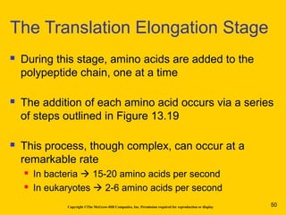 Copyright ©The McGraw-Hill Companies, Inc. Permission required for reproduction or display
 During this stage, amino acids are added to the
polypeptide chain, one at a time
 The addition of each amino acid occurs via a series
of steps outlined in Figure 13.19
 This process, though complex, can occur at a
remarkable rate
 In bacteria  15-20 amino acids per second
 In eukaryotes  2-6 amino acids per second
The Translation Elongation Stage
50
 