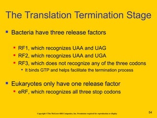 Copyright ©The McGraw-Hill Companies, Inc. Permission required for reproduction or display
 Bacteria have three release factors
 RF1, which recognizes UAA and UAG
 RF2, which recognizes UAA and UGA
 RF3, which does not recognize any of the three codons

It binds GTP and helps facilitate the termination process
 Eukaryotes only have one release factor
 eRF, which recognizes all three stop codons
The Translation Termination Stage
54
 