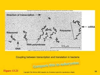 Copyright ©The McGraw-Hill Companies, Inc. Permission required for reproduction or display
Figure 13.21
Coupling between transcription and translation in bacteria
58
 