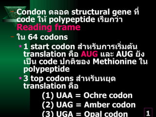 Translation [mod] | PPT