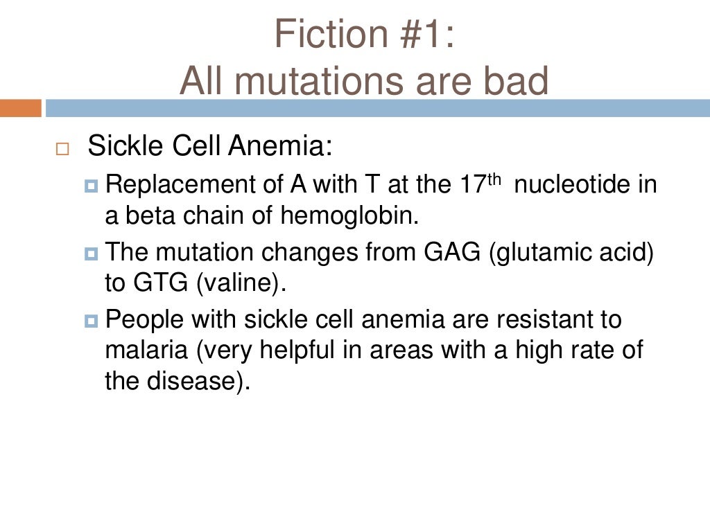 Translation Mutation Ppt