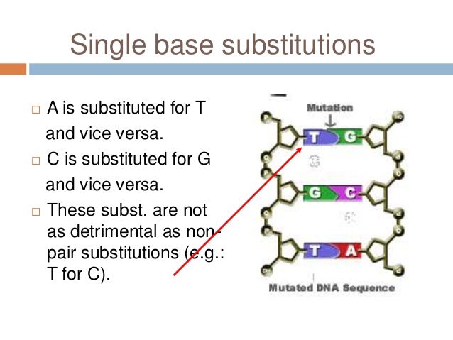 Translation mutation ppt