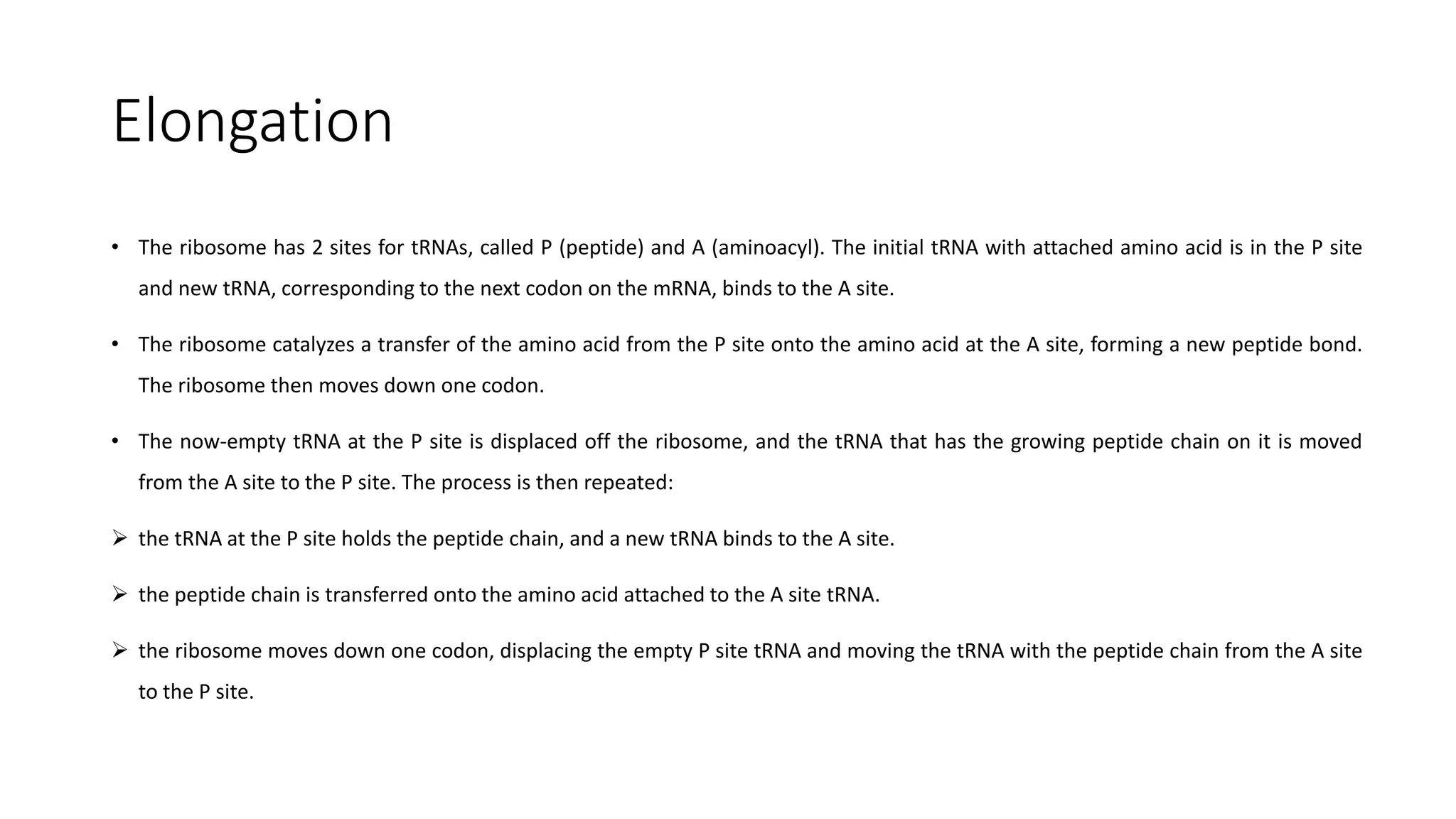 Elongation
• The ribosome has 2 sites for tRNAs, called P (peptide) and A (aminoacyl). The initial tRNA with attached amino acid is in the P site
and new tRNA, corresponding to the next codon on the mRNA, binds to the A site.
• The ribosome catalyzes a transfer of the amino acid from the P site onto the amino acid at the A site, forming a new peptide bond.
The ribosome then moves down one codon.
• The now-empty tRNA at the P site is displaced off the ribosome, and the tRNA that has the growing peptide chain on it is moved
from the A site to the P site. The process is then repeated:
 the tRNA at the P site holds the peptide chain, and a new tRNA binds to the A site.
 the peptide chain is transferred onto the amino acid attached to the A site tRNA.
 the ribosome moves down one codon, displacing the empty P site tRNA and moving the tRNA with the peptide chain from the A site
to the P site.
 