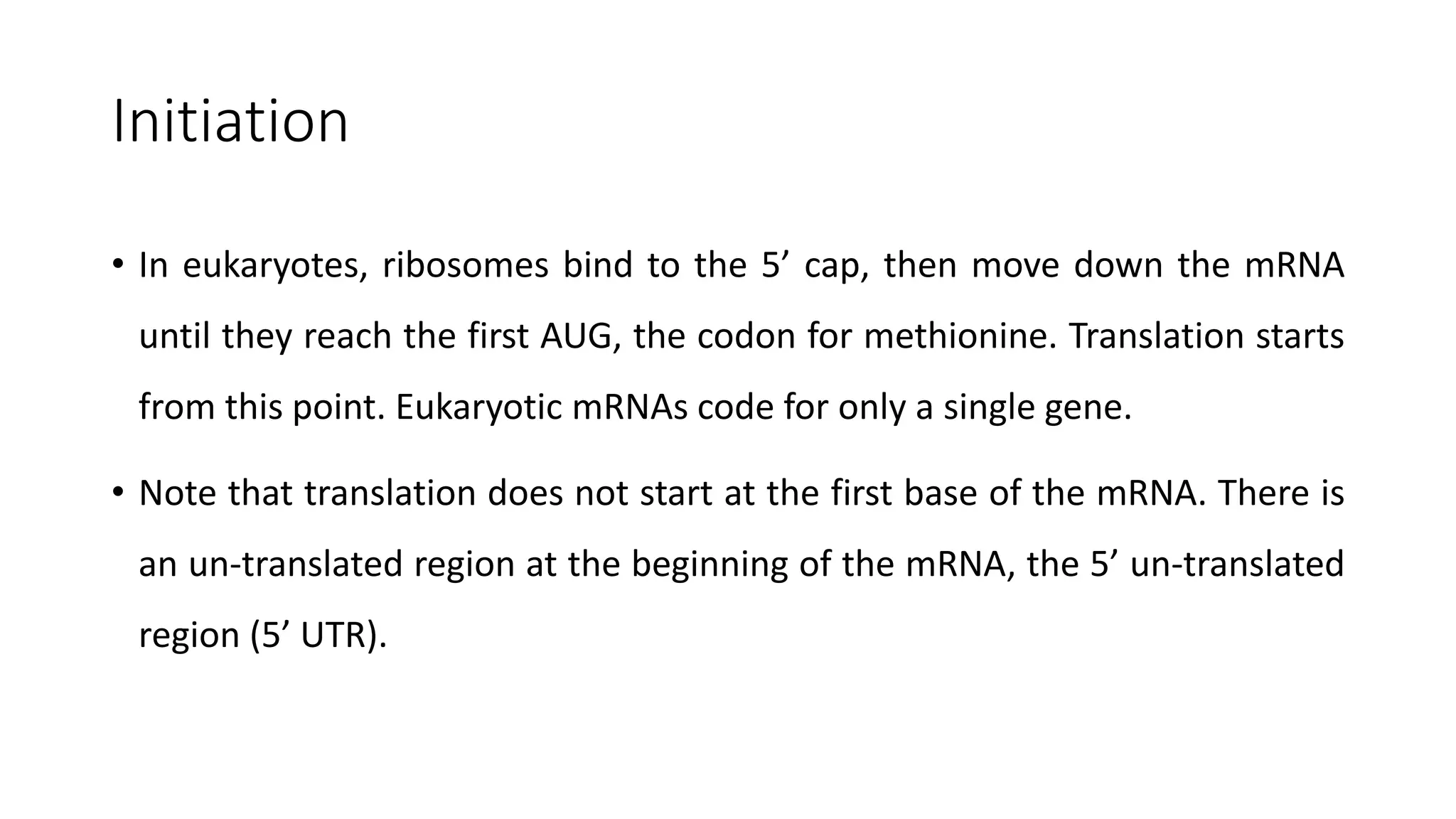 Initiation
• In eukaryotes, ribosomes bind to the 5’ cap, then move down the mRNA
until they reach the first AUG, the codon for methionine. Translation starts
from this point. Eukaryotic mRNAs code for only a single gene.
• Note that translation does not start at the first base of the mRNA. There is
an un-translated region at the beginning of the mRNA, the 5’ un-translated
region (5’ UTR).
 