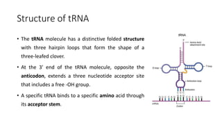 Trna Three Translation & Post Translational Modifications | PPTX