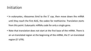 Translation Base Images Translation & Post Translational Modifications | PPTX