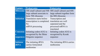 TRANSLATION & POST TRANSLATION MODIFICATIONS.pptx