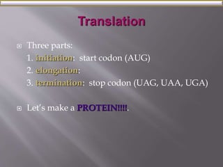  Three parts: 
1. initiation: start codon (AUG) 
2. elongation: 
3. termination: stop codon (UAG, UAA, UGA) 
 Let’s make a PROTEIN!!!!. 
 