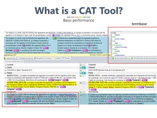 What is a CAT Tool?
Basic performance
termbase
 