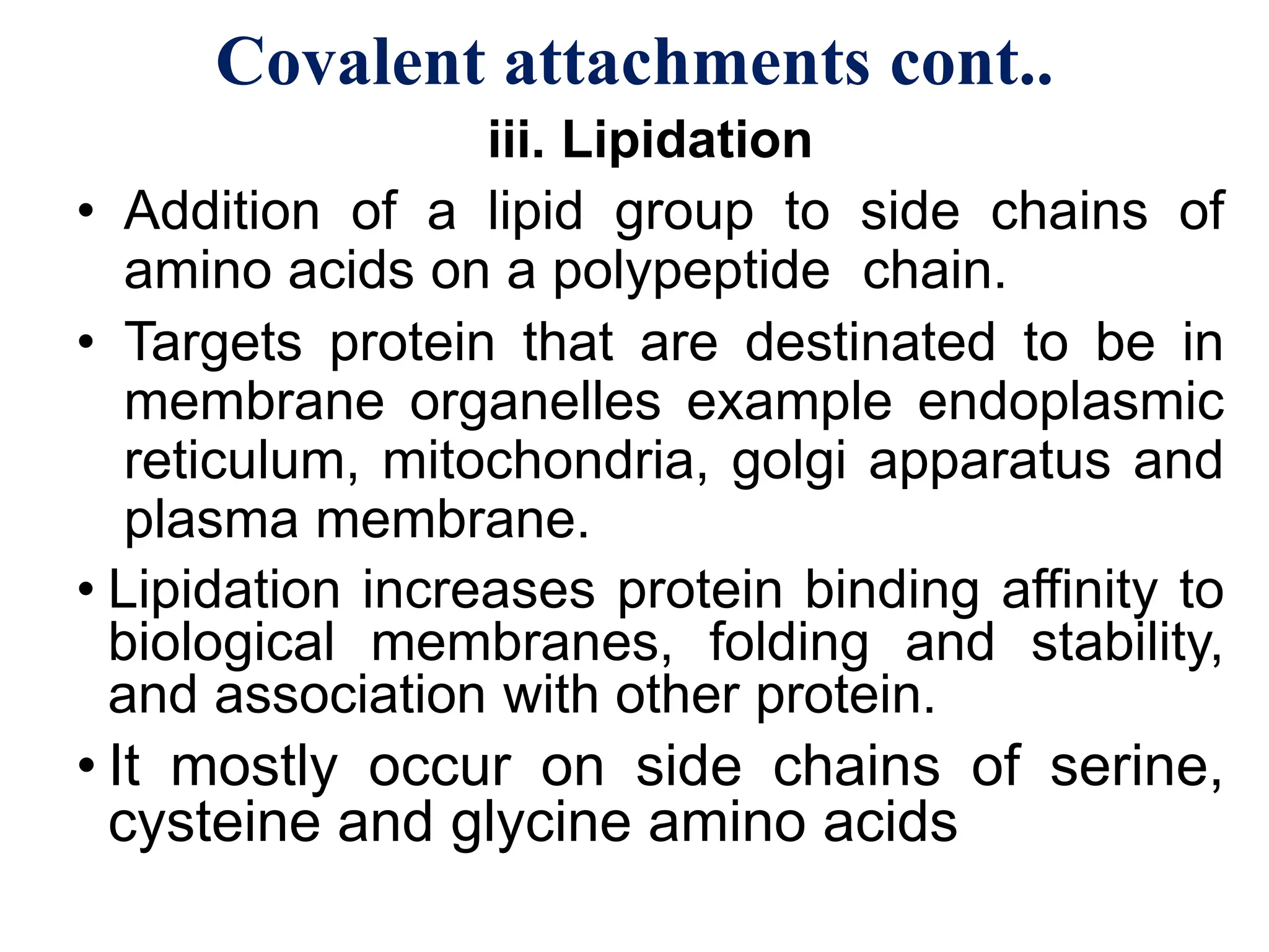 Translation Protein Synthesis Presentation Pdf