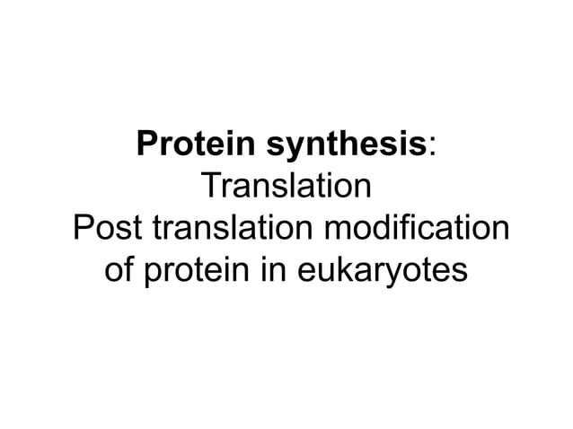 Translation Protein Synthesis Presentation Pdf