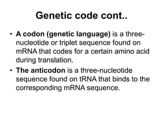 TRANSLATION (Protein synthesis) presentation.pdf
