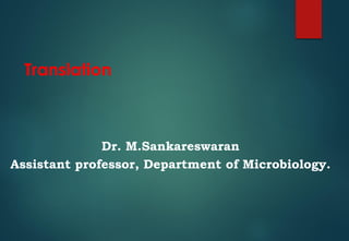 Translation
Dr. M.Sankareswaran
Assistant professor, Department of Microbiology.
 