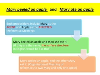 Both propositions include Mary as the
AGENT and Apple as the AFFECTED.
(Referential Meaning)
Mary peeled an apple and then she ate it.
(if they are the same, the surface structure
in English would be like that).
Mary peeled an apple, and the other Mary
eat it. (Organizational Meaning of
references to two Mary and only one apple)
Mary peeled an apple and Mary ate an apple
 