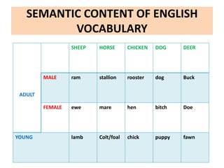 SEMANTIC CONTENT OF ENGLISH
VOCABULARY
ADULT
SHEEP HORSE CHICKEN DOG DEER
MALE ram stallion rooster dog Buck
FEMALE ewe mare hen bitch Doe
YOUNG lamb Colt/foal chick puppy fawn
 