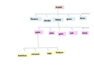 PLANT
TREESflowers
shrubs
grass ferns
palm pine gum oak birch
_ _ _ _ _
_ _ _ _
betelnut
coconut sago limbum
 