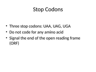 Stop Code Uaa Translation_Termination_Detailed_Presentation.pptx