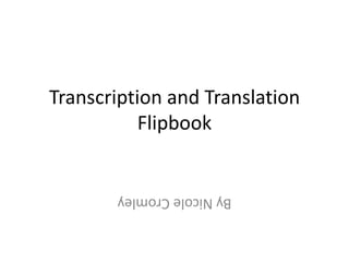 Transcription and Translation
           Flipbook


       By Nicole Cromley
 
