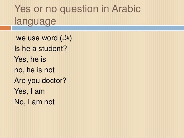 Translation Yes Or No Quistions Translation Yes Or No Quistions