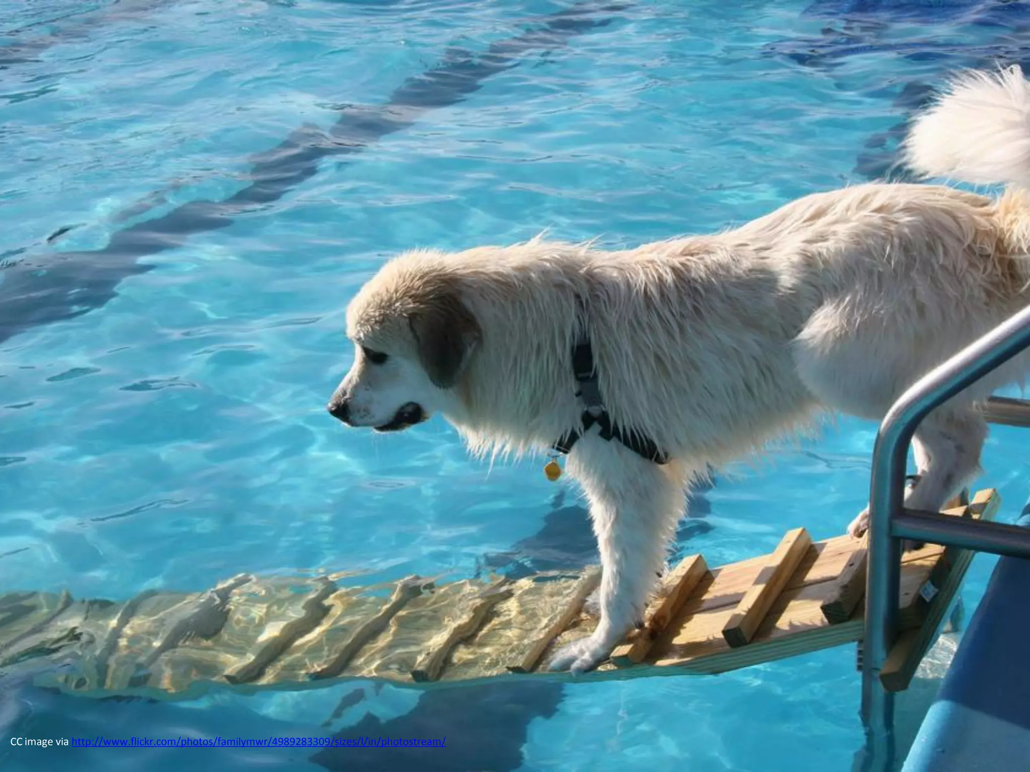 CC image via http://www.flickr.com/photos/familymwr/4989283309/sizes/l/in/photostream/
 